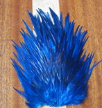 DF  Indian saddle king fish blue  st